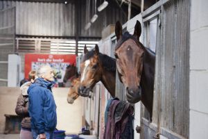 _Ben haslam middleham 5.jpg